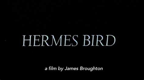 hermes bird full movie|Hermes Bird (1979) .